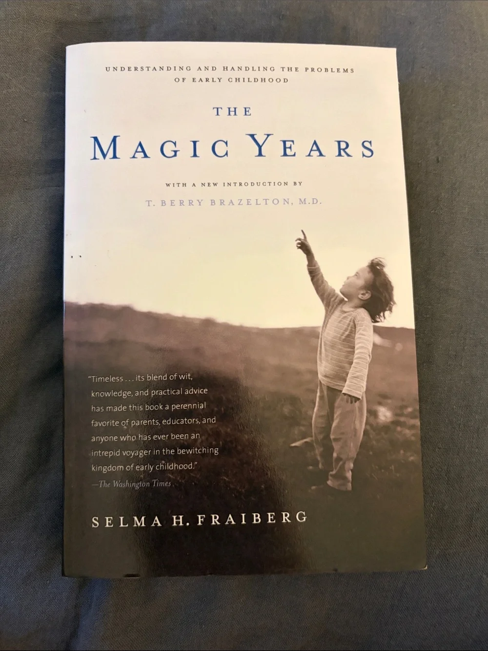 The Magic Years by Selma H. Fraiberg - Beige & Blue Cover